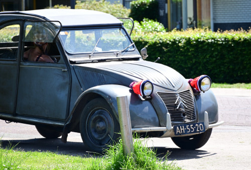 16 lindetreffen